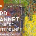 Le merveilleux jaune de Bonnard