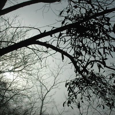 La semaine qu'a duré l'hiver