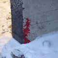 Crime sanglant à Tromsø