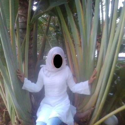 une robe en gaze,inspirée d'un modèle sur pinterest