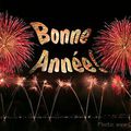 Bonne Année 2013 