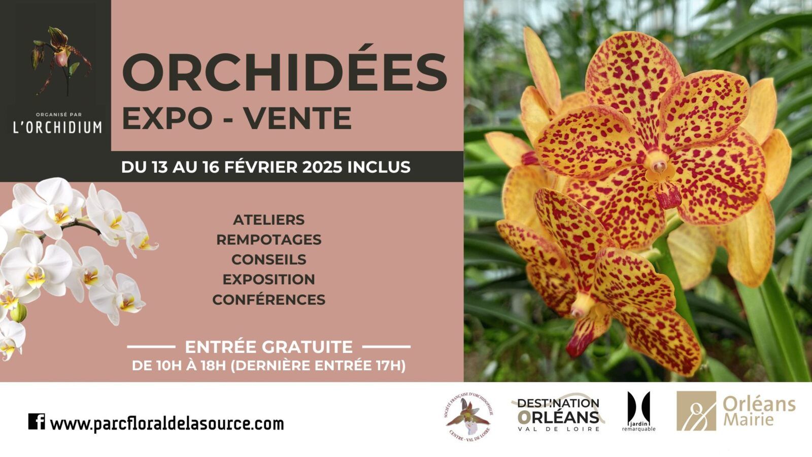 Expo-vente d'Orchidées Parc Floral Orléans