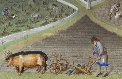 Repenser le rapport à la Terre avec J-M Martin et d'autres 