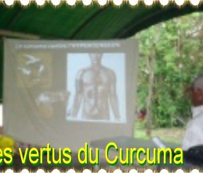 CONFERENCES ORGAPEYI - LES RESUMES