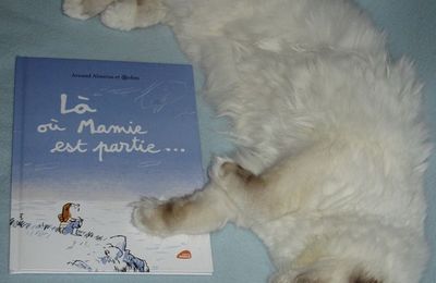 Là où Mamie est partie - Renaud Alméras