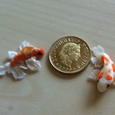 1er essais de poissons