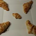 mon premier essai croissant