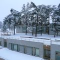 le lycée blanc-gris
