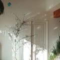 Un arbre dans la maison.