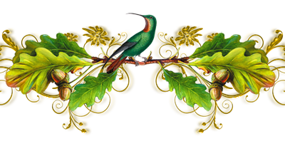 LES ORANGES NE SONT PAS LES SEULS FRUITS - Jeannette WINTERSON