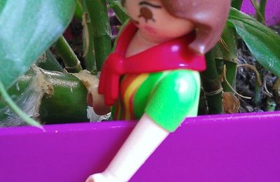 Circulez, y'a rien à lire 