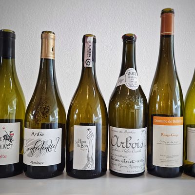 Cépages noirs rares et vins rouges en France