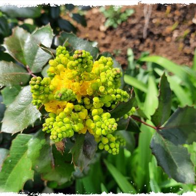 Les mardis de la déco chez Lylou ...