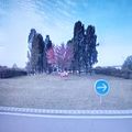 Rond-point à Thionville (57100)
