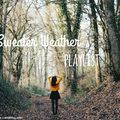 Sweater Weather playlist! Shawn Mendes, Meghan Trainor, Disclosure...