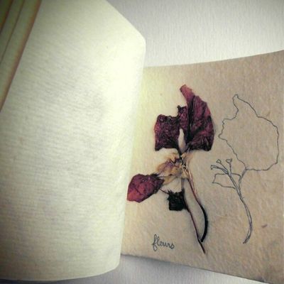 Un nouveau carnet Végétal pour Croquis-Croquons :