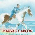 Mauvais garçon