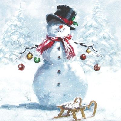 Echange Atc Bonshommes de Neige ☃️❄️ et créations.