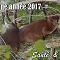 Bonne année 2017