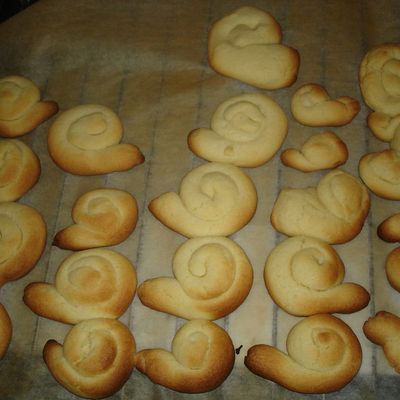 Petit escargot .....