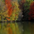 Sourire d'un automne ... :)