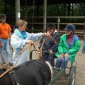 La Cavale à Plaisance : Cheval mon ami