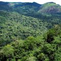 Guyane : à la recherche de la biodiversité « oubliée »
