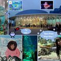 J'ai testé... Mer et corsaires : l'aquarium Mare Nostrum et le restaurant à thème Pirates Paradise (Montpellier)