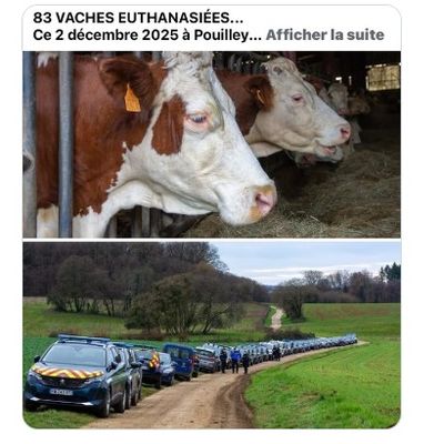 Quand les tracteurs remplacent les fourches