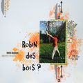 Robin des bois?