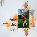 Robin des bois?