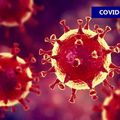 COVID : DEUX NOUVELLES ENTRÉES ET 58 VACCINATIONS.