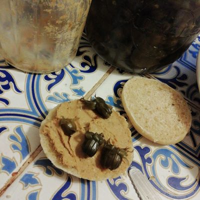 pâté de glands