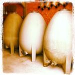 Sébastien DAVID Vigneron