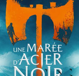 Roman | L'Âge de la Fureur, tome 1 : Une marée d'acier noir de Anthony Ryan