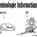 Le B2i Cycle 3