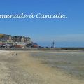 [Bretagne] promenade à Cancale