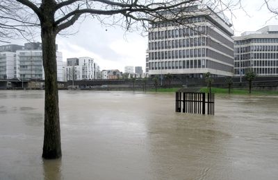 Débordements intempestifs de la Vilaine à Rennes le 26 janvier 2025 (2)