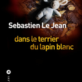 Dans le terrier du lapin blanc - Sébastien Le Jean - Liana Levi