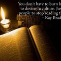 The heavy boot of the literary stamp - taxing culture, or 'give a leu to the USR-u'...