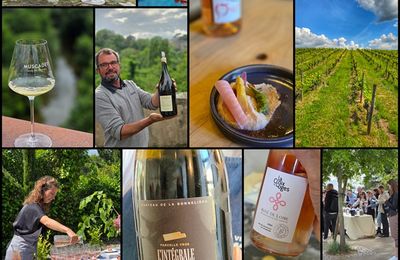 {Vin} Les Vin de Loire