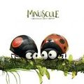 MINUSCULE - FILM ANIMATION