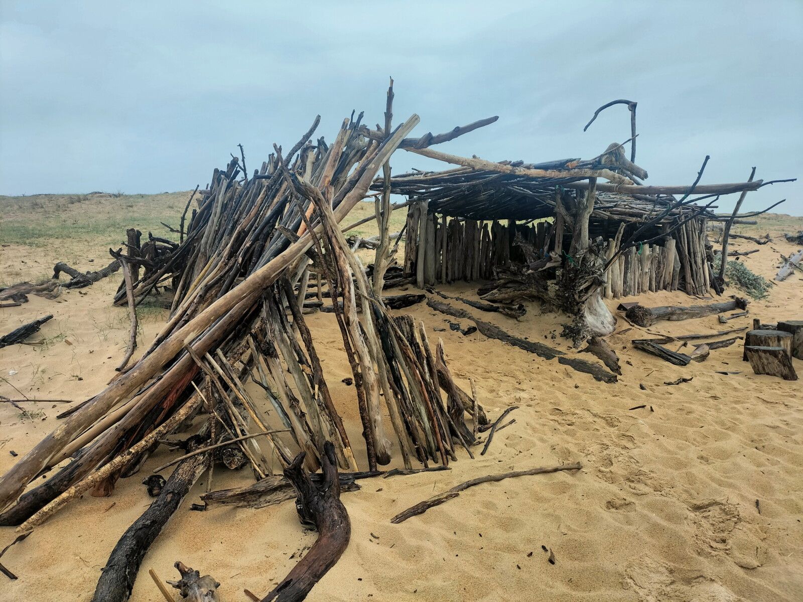 Tarnos, plage du métro, villa en bois flotté, mars 2025.. (40)