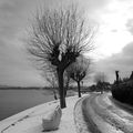 Lac du Bourget en hiver