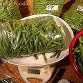 Haricots verts : une belle récolte !