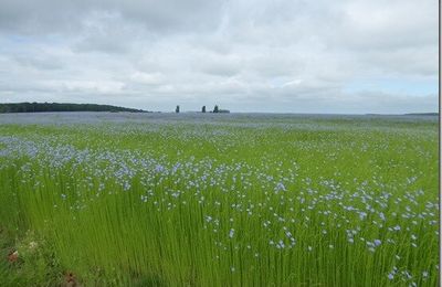 Dans la campagne axonaise