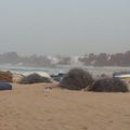 La petite brume du matin ... à Hammamet