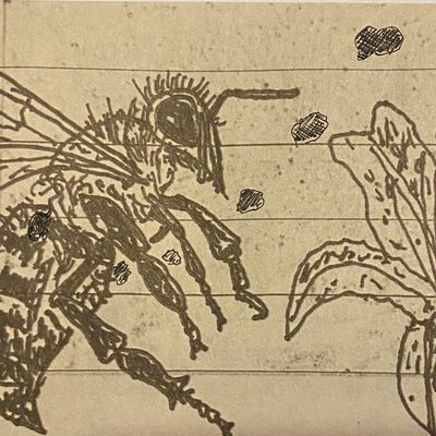 Abeilles et environnement