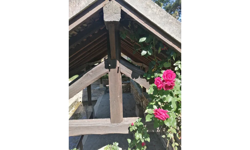 PROJET 52 # RATTRAPAGE # FLEURI ET PRINTEMPS # Vu D'ici vu d'AIlleurs 