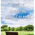 Sous le champ de nuages blancs